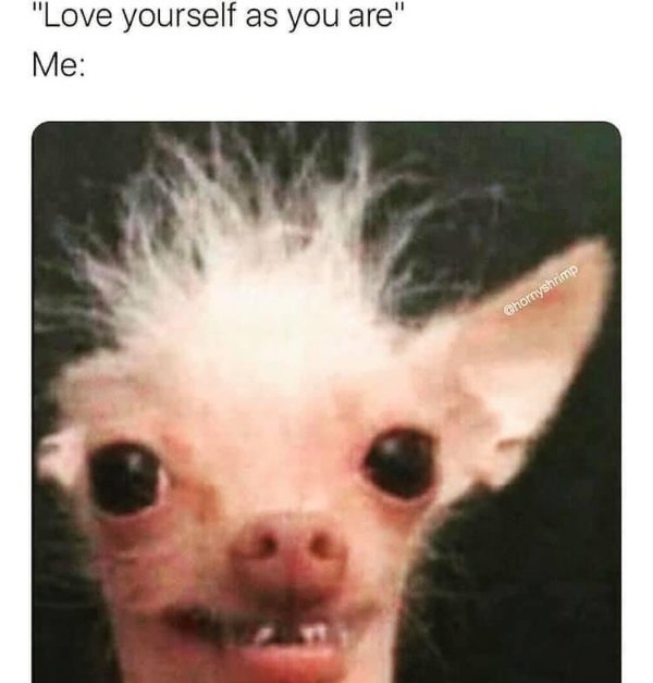 funnymemes64_051