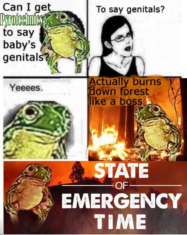 genderrevealmemes_006