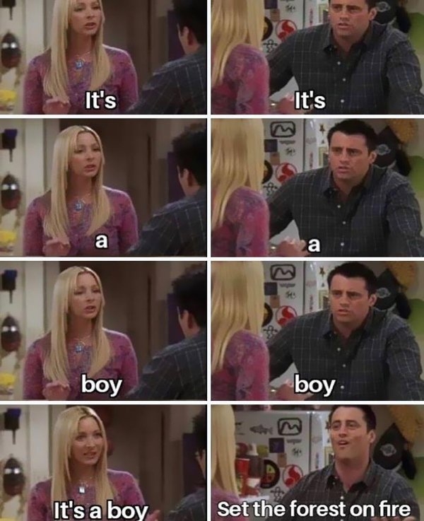 genderrevealmemes_009