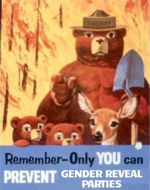 genderrevealmemes_011
