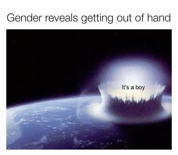 genderrevealmemes_012