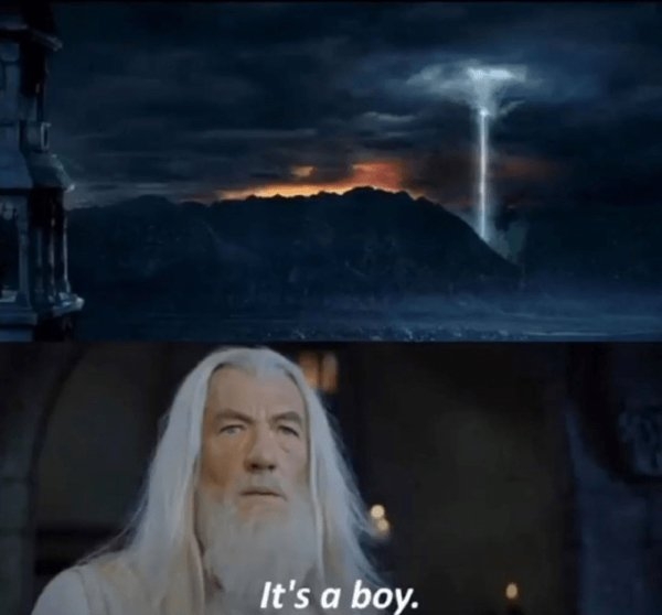 genderrevealmemes_014