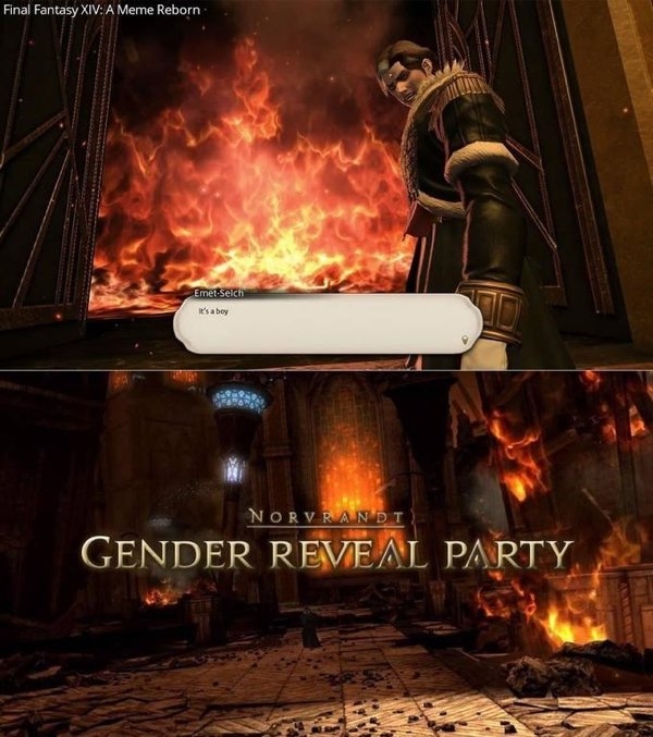 genderrevealmemes_015