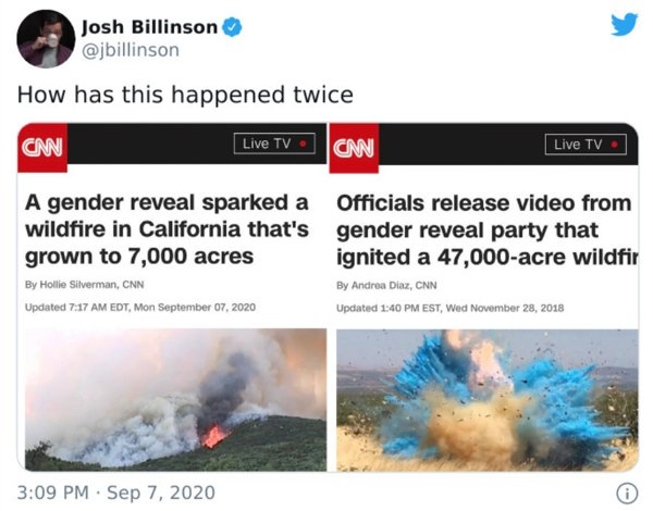 genderrevealmemes_017