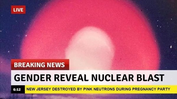 genderrevealmemes_020