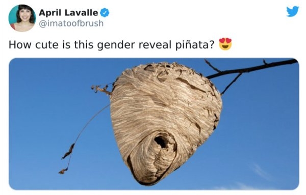 genderrevealmemes_021