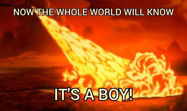 genderrevealmemes_022