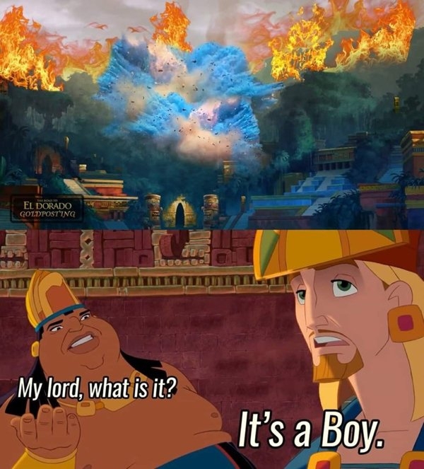 genderrevealmemes_027