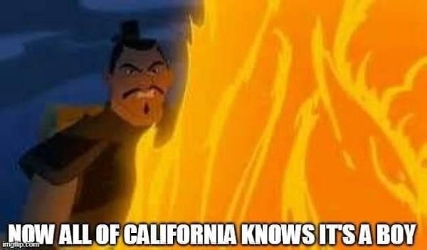 genderrevealmemes_029