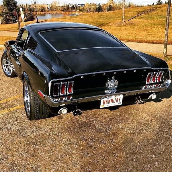 musclecars4_003