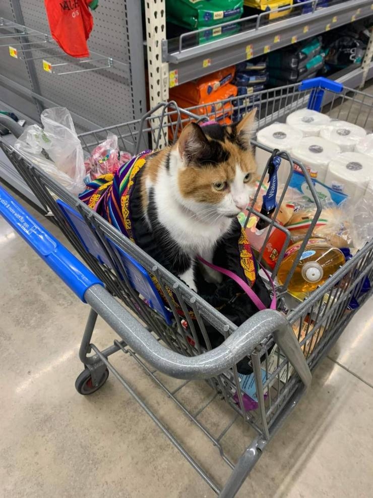 peopleofwalmart2_022