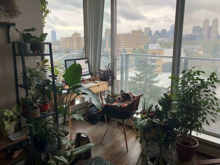 proudhomes_013