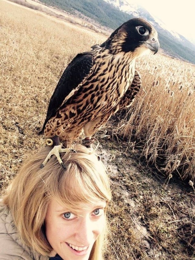 randompics454_054