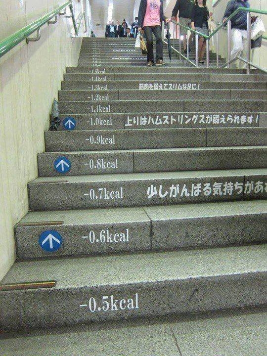 randompics454_077