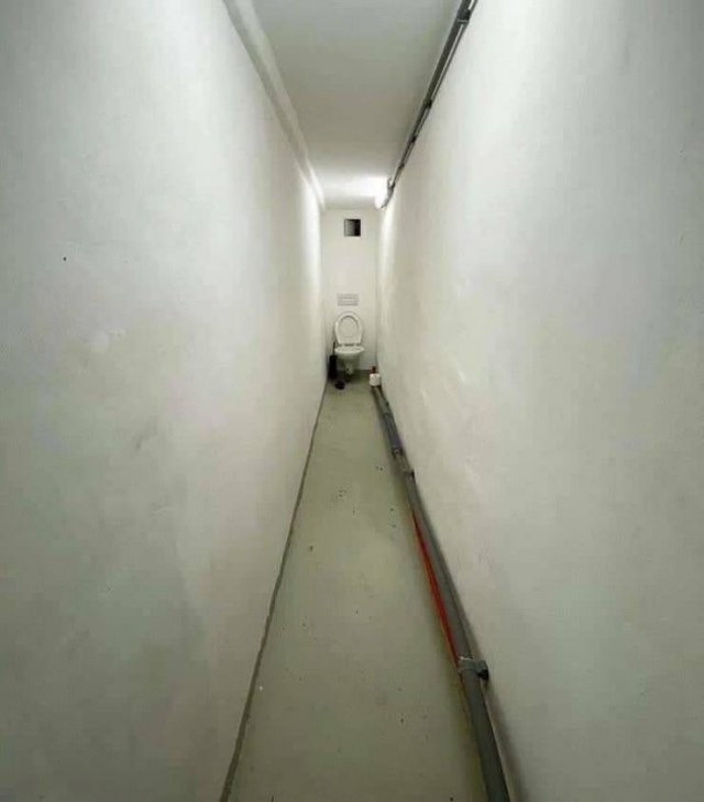 randompics462_021