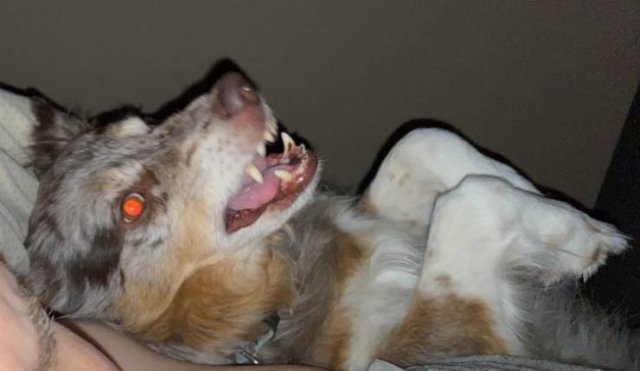 randompics462_055