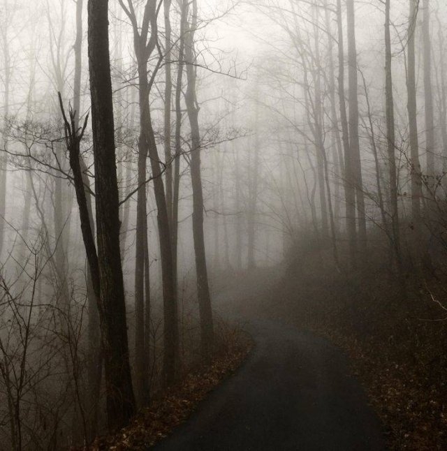 randompics462_077