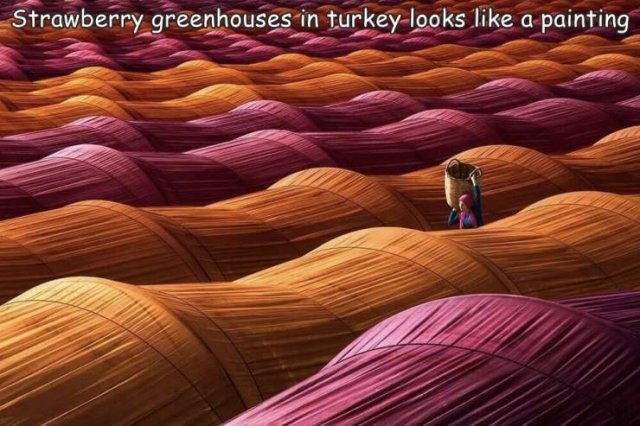 randompics464_068