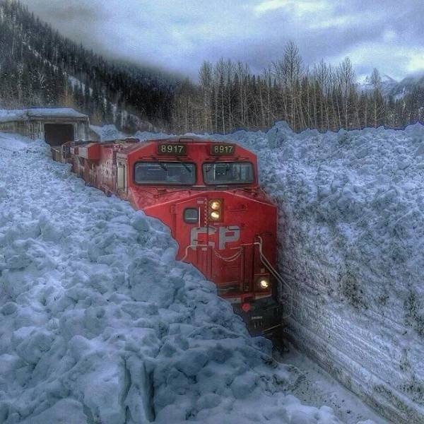 randompics465_068