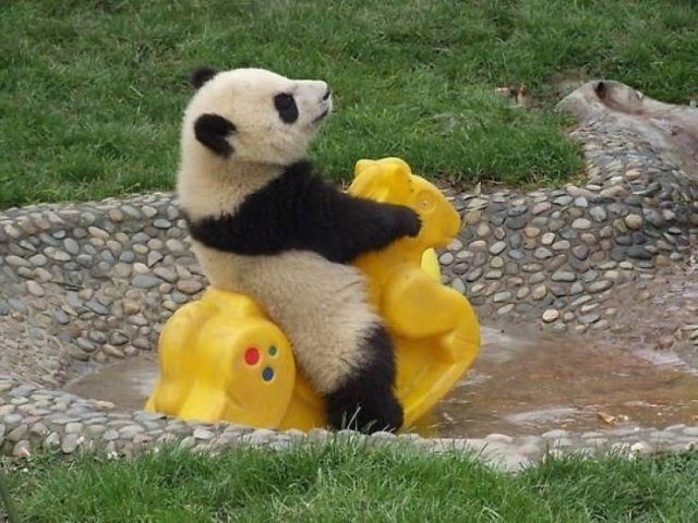 randompics466_051