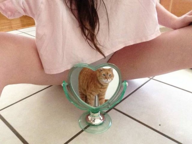randompicsforadults4_060