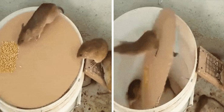 redneckengineering_012