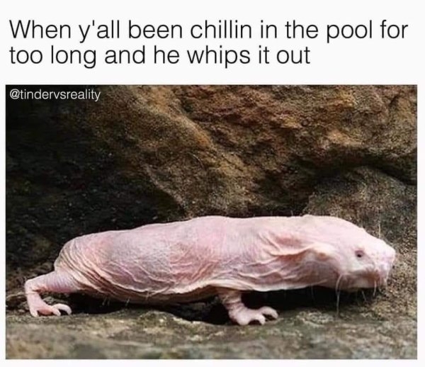 relationshipmemes_007