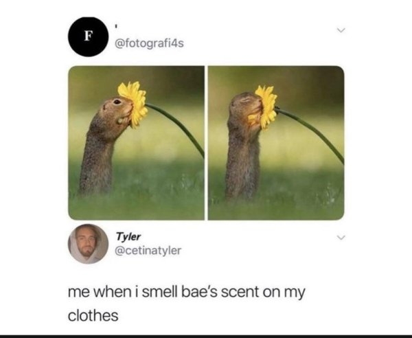 relationshipmemes_022