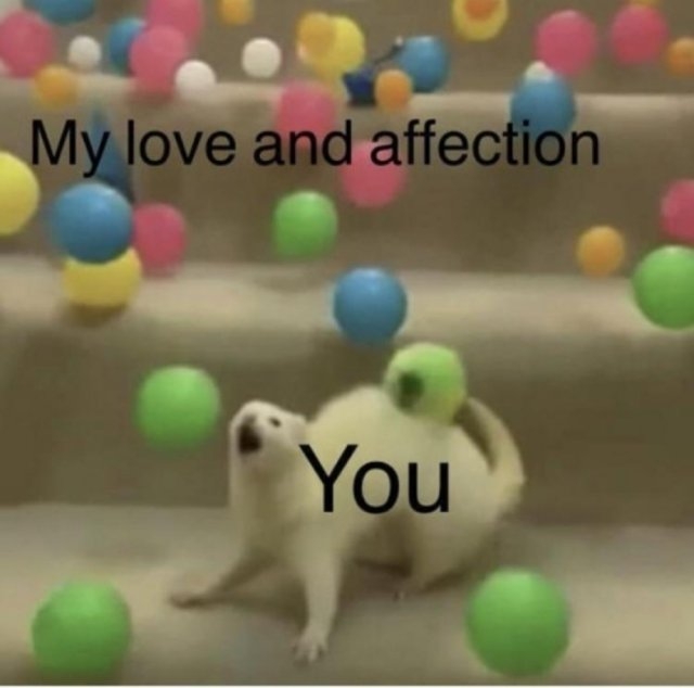 relationshipmemes_029