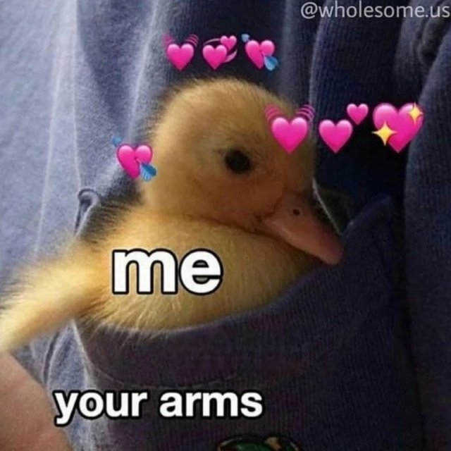 relationshipmemes_037