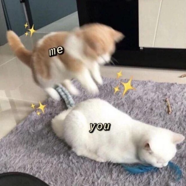 relationshipmemes_044