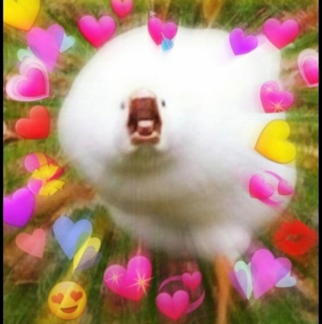 relationshipmemes_047