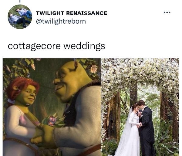 shrektwilightcommon_003