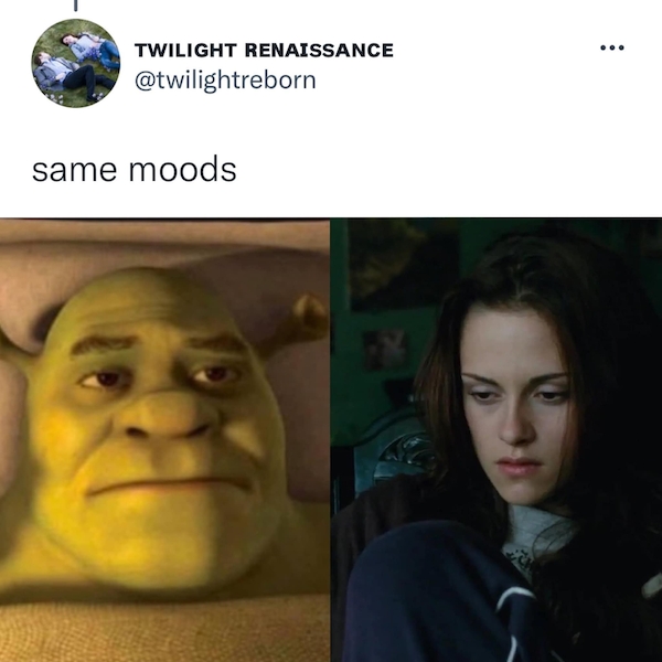 shrektwilightcommon_007