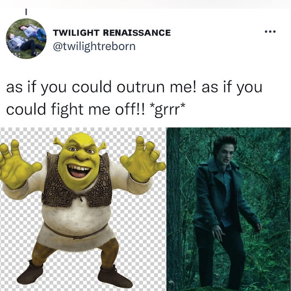 shrektwilightcommon_008