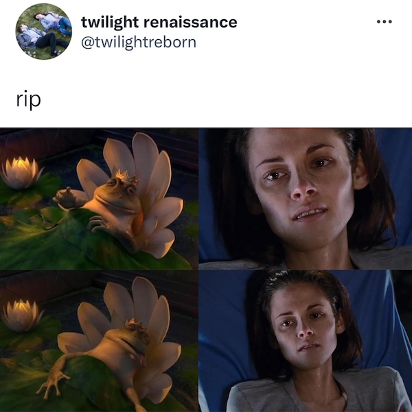 shrektwilightcommon_010