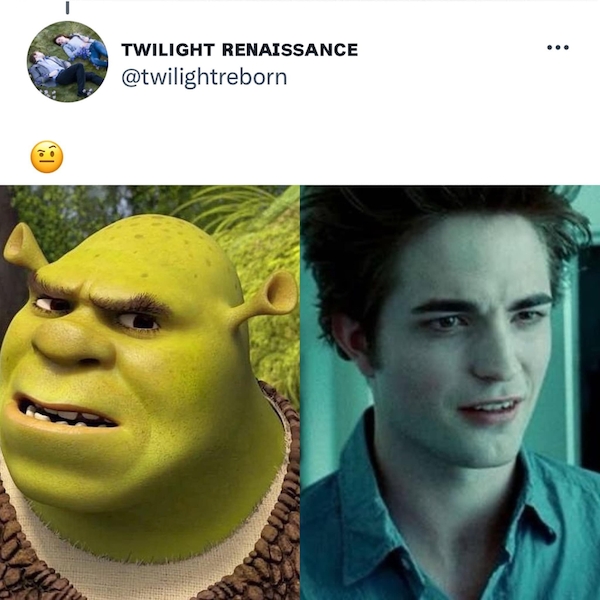 shrektwilightcommon_011