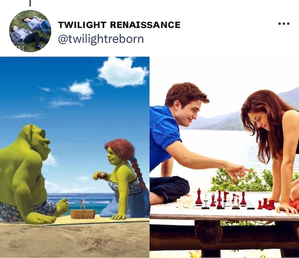 shrektwilightcommon_013