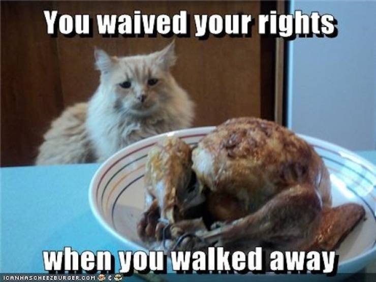 thanksgivingmemes_005