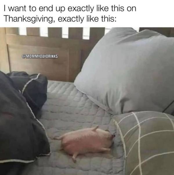 thanksgivingmemes_028