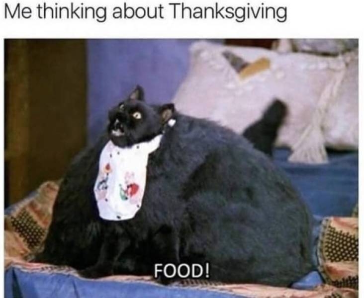 thanksgivingmemes_029