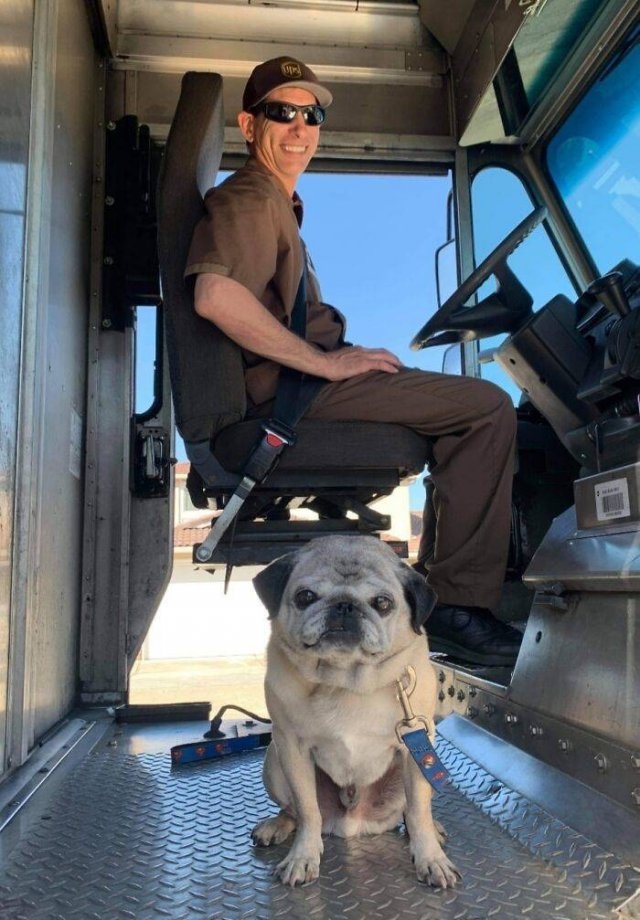 upsdriversdogs_016