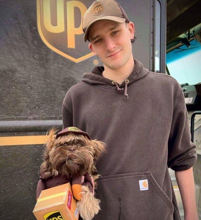 upsdriversdogs_025
