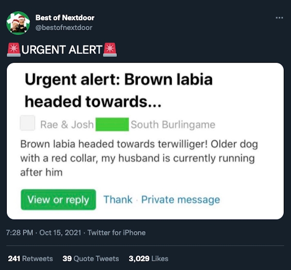 bestofnextdoor_015