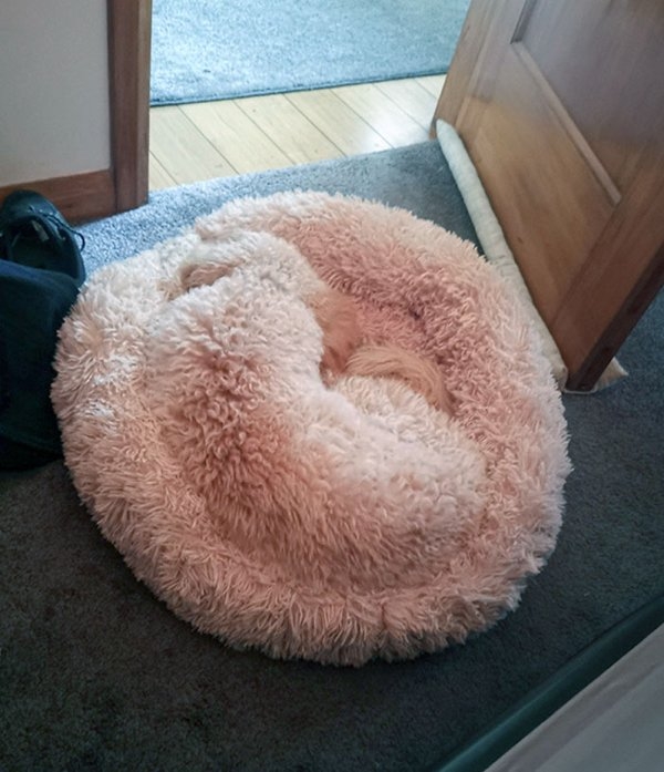 camoflauge_003