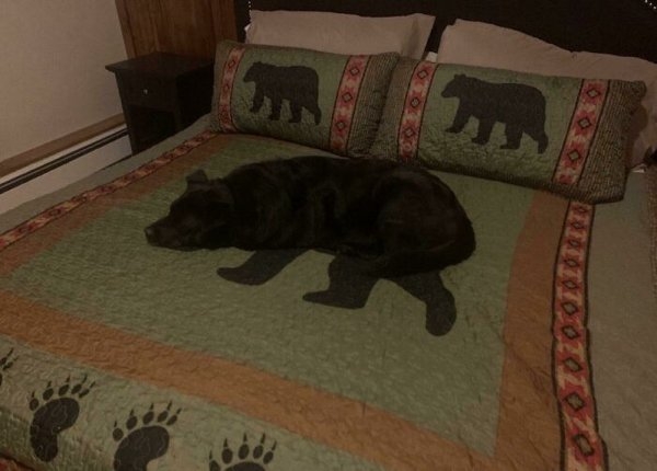 camoflauge_010