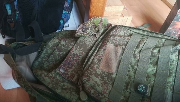 camoflauge_015