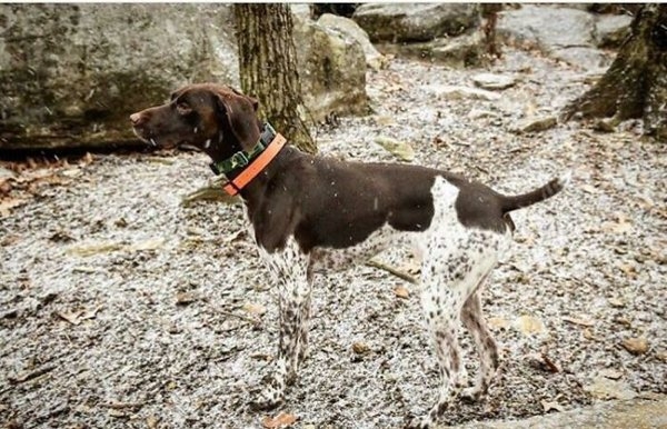camoflauge_020