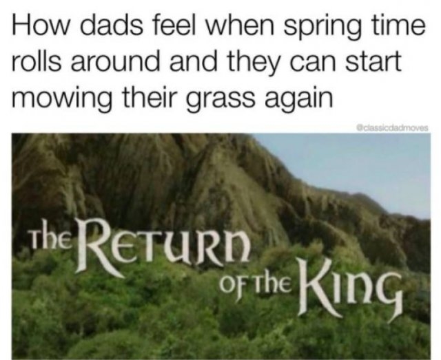 dadmemes3_003