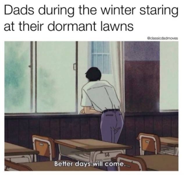 dadmemes3_019